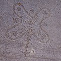 One of the several prehistoric engravings in Valcamonica.