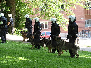 Anjing polis Sweden, 2007