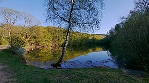 Pfahlweiher im Mattheiser Wald