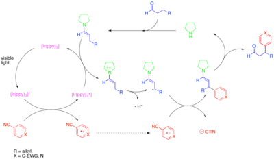 Diagram of Photoredox beta-arylation of aldehydes