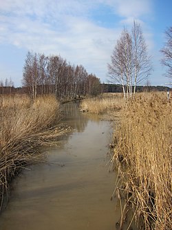 Kuva otettu Raisionlahden pohjukassa Piuhanjoen ylittävältä kävelysillalta pohjoiseen päin.