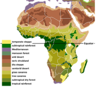 Рослинні біоми Африки