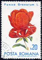 1971-yilgi Ruminiya markasi