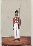 Sepoy of the Madras Army of the East India Company, 1835