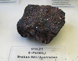 Образец штольцита из Австралии в минералогическом музее Бонна