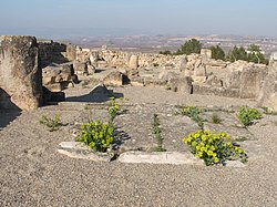 Restes de cases, basílica, baptisteri, necròpoli i església. Poblat visigòtic del Bovalar, Seròs (Segrià)