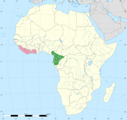 Distribución de los picatartes cuelliblanco (rosado) y cuelligrís (verde).