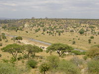 Parque Nacional de Tarangire, na Tanzânia.