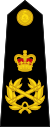 英国海军陆战队元帅肩章