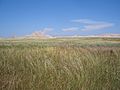 Image 25The Oglala National Grassland near Chadron, Nebraska (from History of Nebraska)