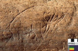 Bone fragment with an engraving of a mammoth from Vero Beach (left), and petroglyphs from Utah supposedly depicting mammoths and a bison (right), though it may have been made after mammoths went extinct