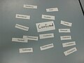 The core emotion our group identified as confused (with corresponding emotional states)File:Emotion Q-sort (3).jpg