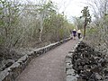 Sentiero di Tortuga Bay, Galapagos