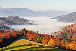 Horské údolí zahalené v mlze, kolem lesnaté svahy (smíšený les) v podzimních barvách