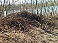 Beverburcht aan de IJssel