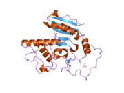 2o1g: Natural occurring mutant of Human ABO(H) Galactosyltransferase: GTB/M214T