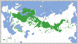 Mapa de distribución del pinu montés.