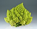 Капуста Romanesco broccoli демонструє дуже дрібні природні фрактали.