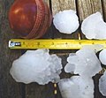 Hailstones from the 1999 Sydney hailstorm