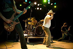 Brutal Truth performs at Hole in the Sky in 2008