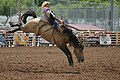 Image 6A rodeo at Days of '76 in Deadwood. (from Culture of South Dakota)