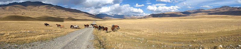 Степен пейзаж от Наринска област с диви коне