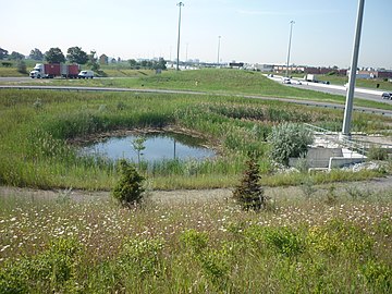 Ставок-відстійник у петлевій рампі (перехрестя HWY427 і Rexdale Blvd, Онтаріо