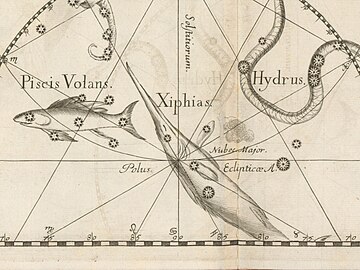ヨハネス・ヘヴェリウス『Prodromus Astronomiae』（1690年）に描かれたXiphiasとPiscis Volans。