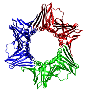 İnsan DNA kıskacı proteini. (Üreten: Opabinia regalis)