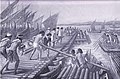 Image 2Phoenicians build pontoon bridges for Xerxes I of Persia during the second Persian invasion of Greece in 480 BC (1915 drawing by A. C. Weatherstone). (from Phoenicia)