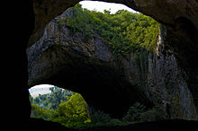 Stone arch with foliage, seen from cave entrance