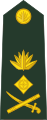 Lieutenant general লেফটেন্যান্ট জেনারেল[8] (Lu Bangladesh)