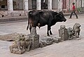 Pashupatinath