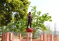 Statue of Bhanubhakta Acharya at Chundi Ramgha