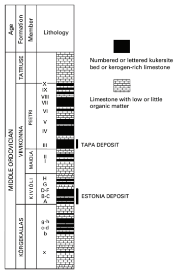 Stratigraphic section of the kukersite deposits.