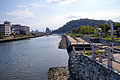 公園西部より城山と対岸の助任川河岸緑地