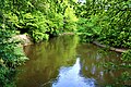 Naturnaher Flussabschnitt der Hunte, etwa auf Höhe der Ortschaft Sannum.