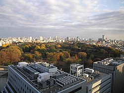 La vue du Shinjuku gyoen depuis la station de Shinjuku.