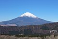 Mt. Fuji