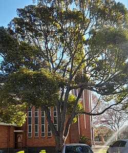 Dutch Reformed Motherchurch of Lyttelton.