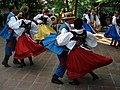 Alcune compagnie di danza viaggiano con le comunità di immigrati, come in questo festival di danza eseguito da una comunità polacca in Turchia