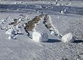 Rolo de neve em Illinois