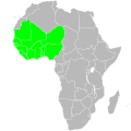 تصنيف:نباتات أفريقيا الغربية المدارية