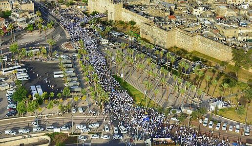 ריקוד דגלים 2016