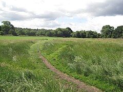 Hampstead Heath cerca de Barnet.