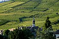 Terrazze del vigneto di Lavaux.