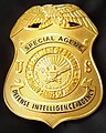 نشان ویژه آژانس اطلاعات دفاعی