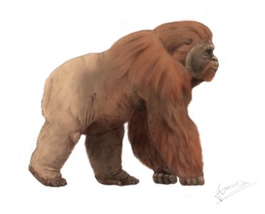 Gigantopithecus