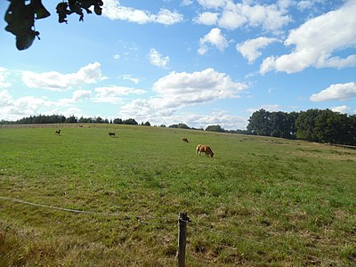 Höchster Punkt der Gemeinde Nontron (308 m) bei Brégout