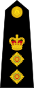英國海軍陸戰隊元帥肩章